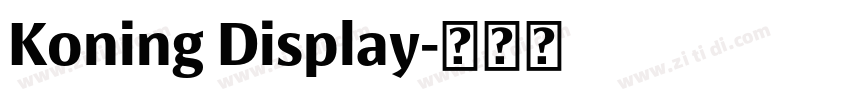 Koning Display字体转换